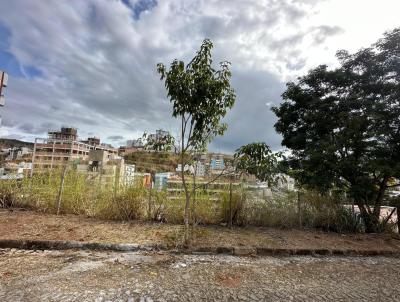 Lote para Venda, em Tefilo Otoni, bairro Marajoara