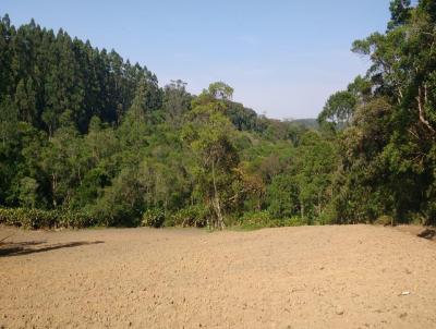 Stio para Venda, em Piedade, bairro Turvinho, 1 dormitrio, 1 banheiro