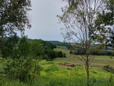 rea Rural para Venda, em Campina das Misses, bairro ZONA RURAL