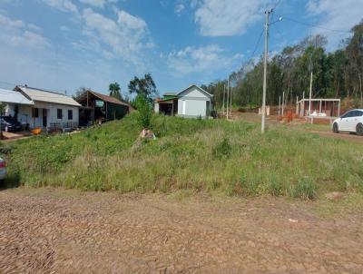 Terreno para Venda, em So Paulo das Misses, bairro CENTRO