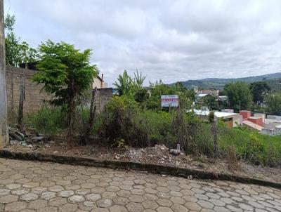 Lote para Venda, em Santo Antnio do Amparo, bairro Areo