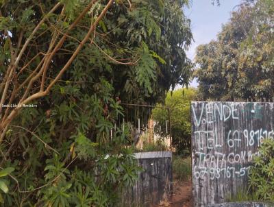 Terreno para Locao, em Ponta Por, bairro Jlia Cardinal