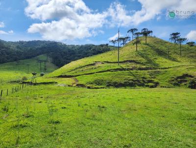 Stio para Venda, em Bom Retiro, bairro ZONA RURAL, 2 dormitrios, 1 banheiro