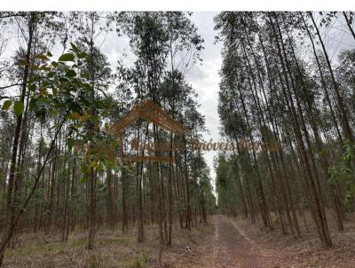 Fazenda para Venda, em Botucatu, bairro rea Rural de Botucatu