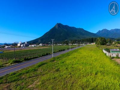 Terreno para Venda, em Palhoa, bairro Guarda do Cubato