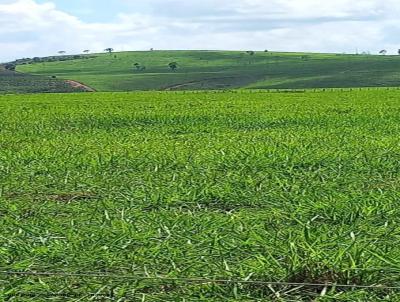 Fazenda para Venda, em Nova Vencia, bairro Zona Rural