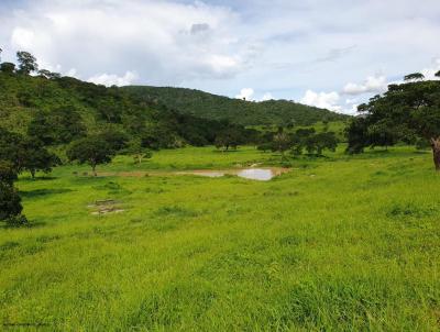 Fazenda para Venda, em Joama, bairro Zona Rural