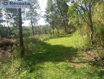 Chcara para Venda, em So Francisco de Paula, bairro BOA VISTA