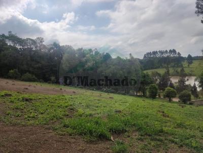 Chcara para Venda, em So Jos dos Pinhais, bairro Colnia Mergulho