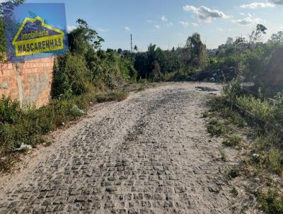 Terreno para Venda, em Feira de Santana, bairro 35 BI