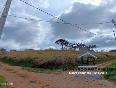 Chcara para Venda, em Maria da F, bairro Zona Rural