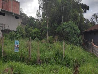 Terreno Urbano para Venda, em Tijucas do Sul, bairro Xaxim