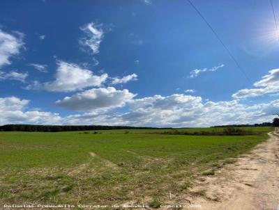 rea Rural para Venda, em Lapa, bairro PASSA DOIS (ZONA RURAL)