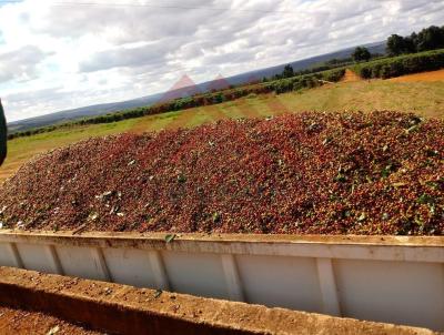 Fazenda para Venda, em Capelinha, bairro Arcos -MG