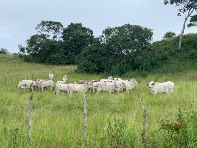 Fazenda para Venda, em Pojuca, bairro , 3 dormitrios, 2 banheiros, 1 sute, 5 vagas