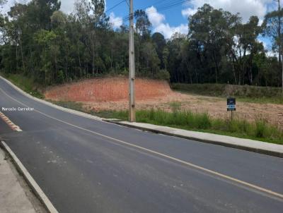 Terreno para Venda, em Pin, bairro Avencal