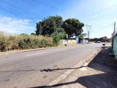 Lote para Venda, em Aparecida de Goinia, bairro Setor Central