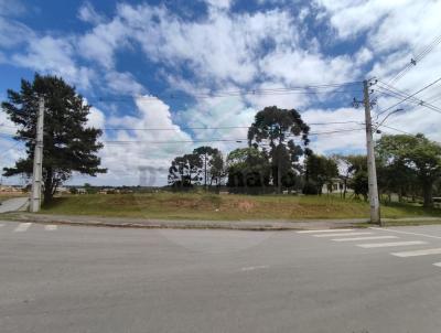 Terreno para Venda, em Fazenda Rio Grande, bairro Veneza