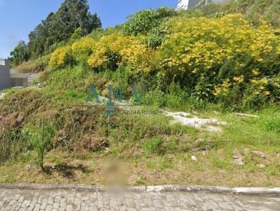 Terreno para Venda, em Caxias do Sul, bairro Nossa Senhora das Graas