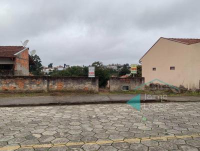 Terreno para Venda, em Mafra, bairro Vila Ivete