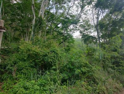 Terreno para Venda, em Niteri, bairro Engenho do Mato