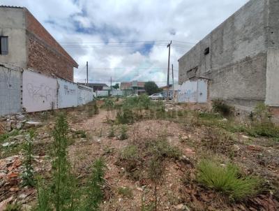 Terreno para Venda, em Fazenda Rio Grande, bairro Eucaliptos