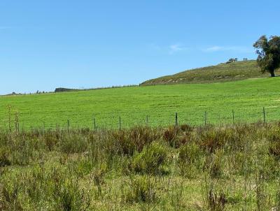 rea Rural para Venda, em Santana do Livramento, bairro Cerro do Trindade