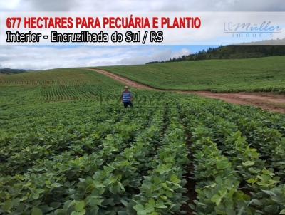 Fazenda para Venda, em Encruzilhada do Sul, bairro Interior