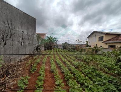 Terreno para Venda, em Fazenda Rio Grande, bairro Eucaliptos