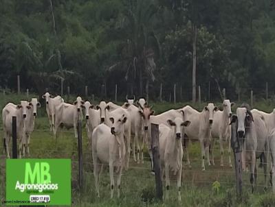 Fazenda para Venda, em Pocon, bairro rea rural