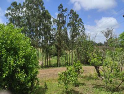 rea Rural para Venda, em So Loureno do Sul, bairro Harmonia