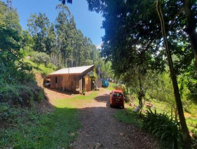 rea Rural para Venda, em Boa Vista do Sul, bairro Interior