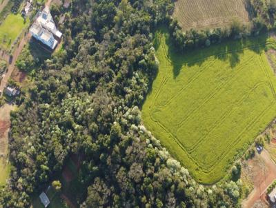 Terreno para Venda, em Dois Vizinhos, bairro centro
