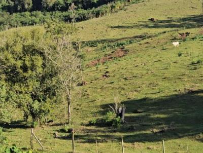 rea Rural para Venda, em Cruzeiro do Iguau, bairro 