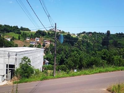 Terreno para Venda, em Concrdia, bairro Primavera