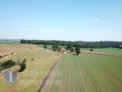 Fazenda para Venda, em Paranapanema, bairro RURAL, 7 banheiros, 6 sutes, 10 vagas