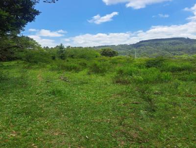 Stio / Chcara para Venda, em Gravata, bairro Morungava