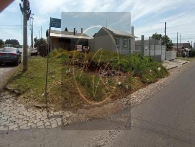 Terreno para Venda, em Vacaria, bairro JARDIM DOS PAMPAS
