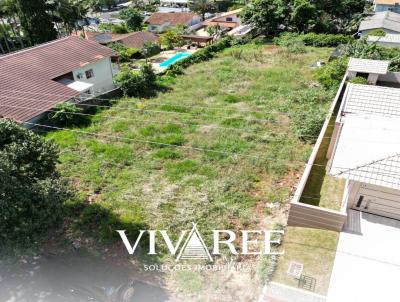 Lote para Venda, em Dionsio Cerqueira, bairro centro