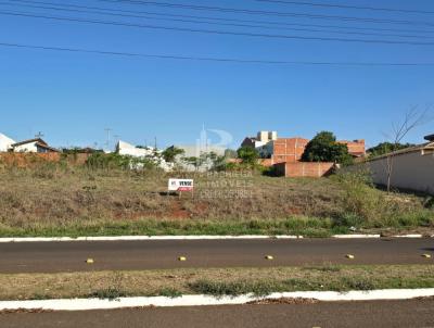 Terreno para Venda, em Bariri, bairro Jardim Flrida