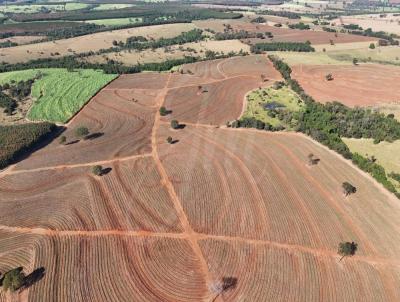 Stio / Chcara para Venda, em Nhandeara, bairro Sitio pra venda Nhandeara SP