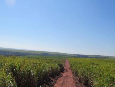 Fazenda para Venda, em Pereira Barreto, bairro Fazenda para venda Pereira Barreto SP