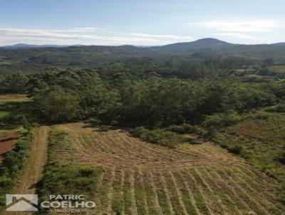 Stio para Venda, em Osrio, bairro Borrusia