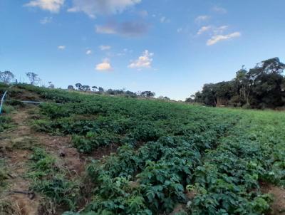 Terreno para Venda, em Senador Amaral, bairro 