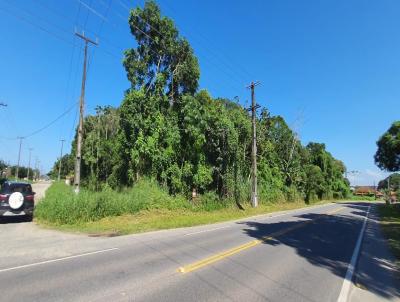 Loteamento para Venda, em Guaratuba, bairro Eliana