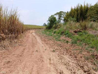 Stio para Venda, em Piracicaba, bairro Centro (Tupi), 2 dormitrios, 2 banheiros, 1 sute, 5 vagas