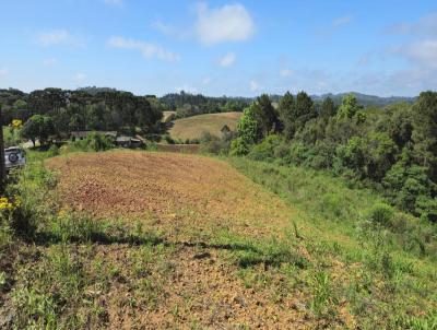 Terreno para Venda, em S�o Bento do Sul, bairro Cruzeiro