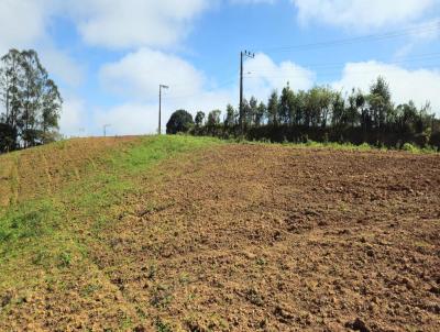 Terreno para Venda, em So Bento do Sul, bairro Cruzeiro