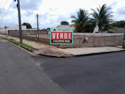 imagem-miniatura