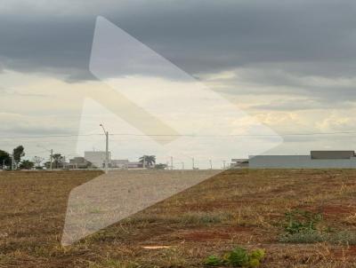 Lote para Venda, em Gois, bairro Villa Romana